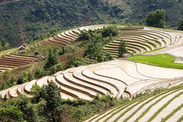 นาข้าวซาปา Sa Pa Terraces เวียดนาม