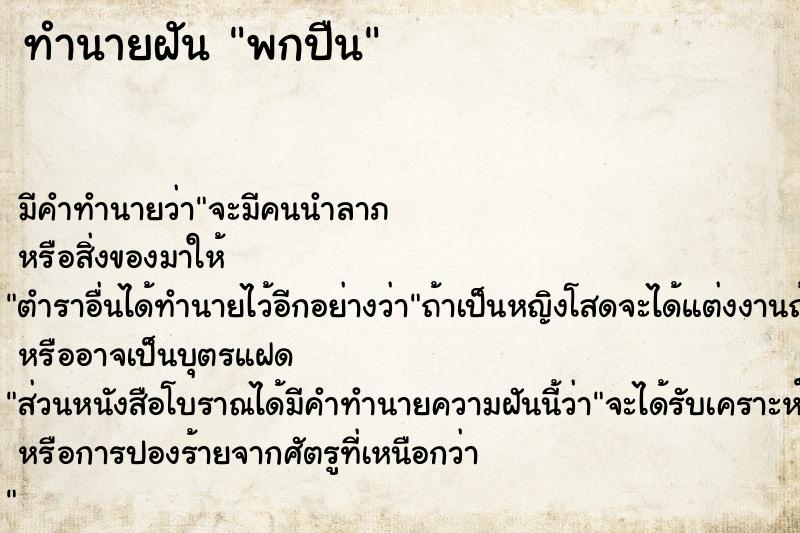 ทำนายฝัน พกปืน