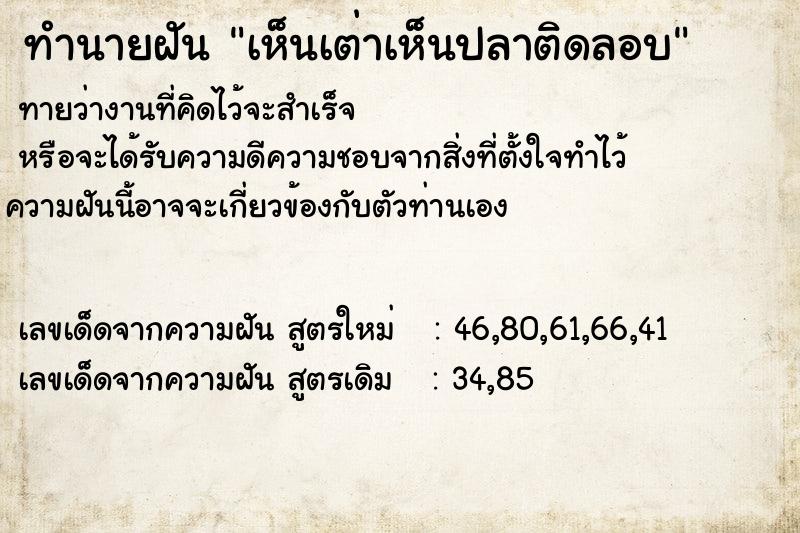 ทำนายฝัน เห็นเต่าเห็นปลาติดลอบ