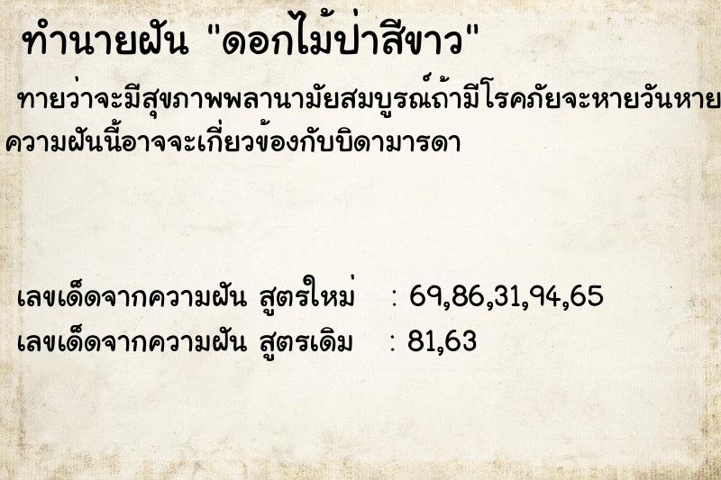 ทำนายฝัน ดอกไม้ป่าสีขาว