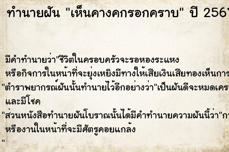 ทำนายฝัน เห็นคางคกรอกคราบ