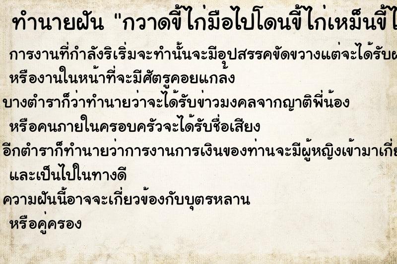 ทำนายฝัน กวาดขี้ไก่มือไปโดนขี้ไก่เหม็นขี้ไก่