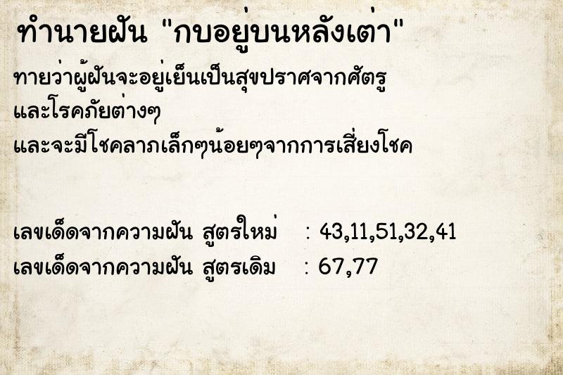 ทำนายฝัน กบอยู่บนหลังเต่า