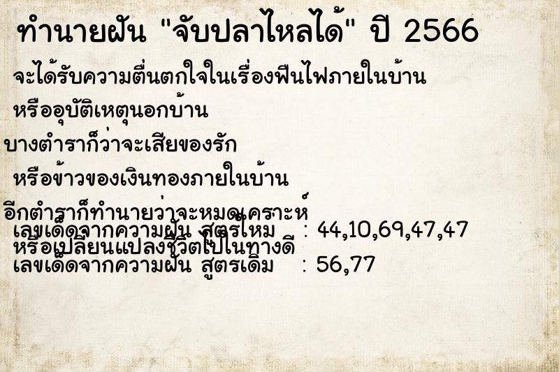 ทำนายฝัน จับปลาไหลได้  เลขนำโชค 