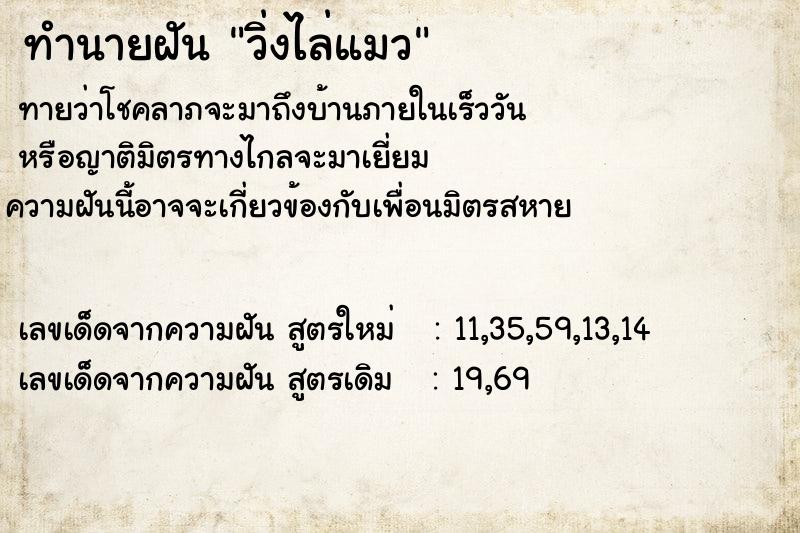 ทำนายฝัน วิ่งไล่แมว