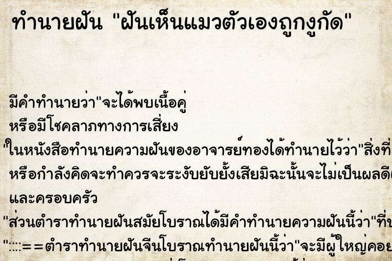 ทำนายฝัน ฝันเห็นแมวตัวเองถูกงูกัด