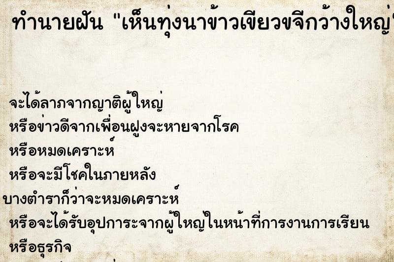 ทำนายฝัน เห็นทุ่งนาข้าวเขียวขจีกว้างใหญ่