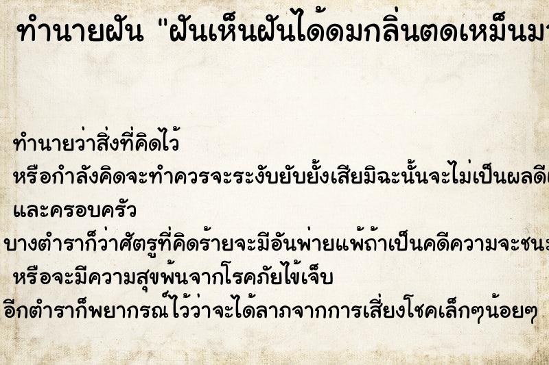 ทำนายฝัน ฝันเห็นฝันได้ดมกลิ่นตดเหม็นมาก