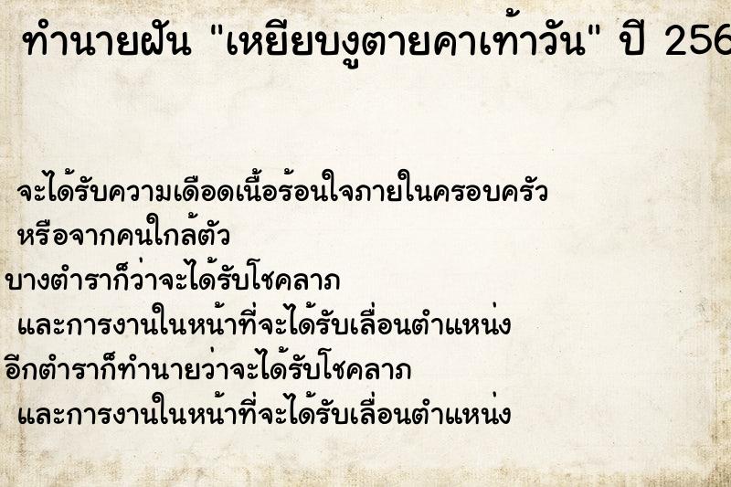 ทำนายฝัน เหยียบงูตายคาเท้าวัน