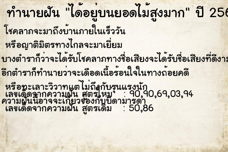 ทำนายฝัน ได้อยู่บนยอดไม้สูงมาก  เลขนำโชค 