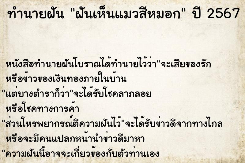 ทำนายฝัน ฝันเห็นแมวสีหมอก