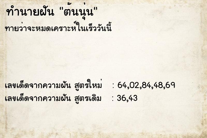 ทำนายฝัน ต้นนุ่น