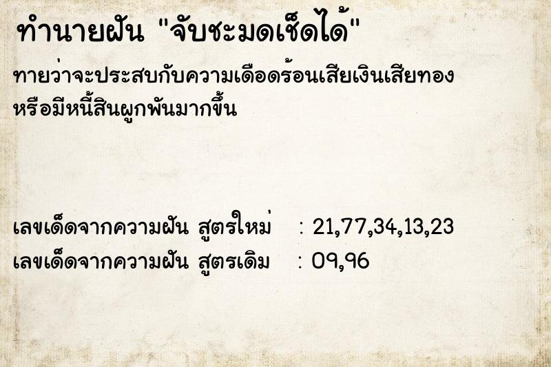 ทำนายฝัน จับชะมดเช็ดได้