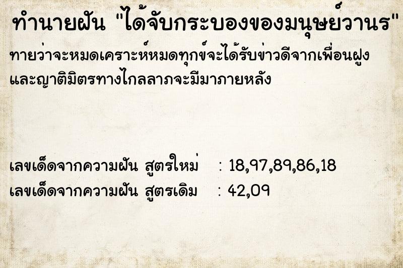 ทำนายฝัน ได้จับกระบองของมนุษย์วานร