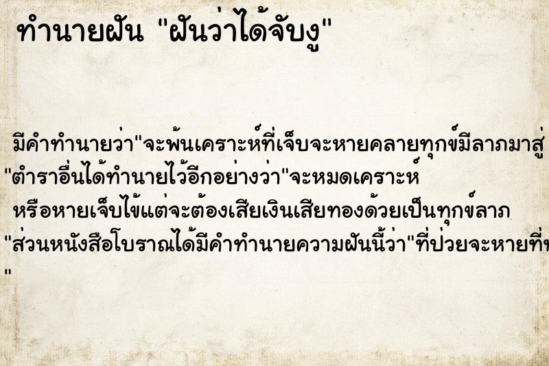 ทำนายฝัน ฝันว่าได้จับงู  เลขนำโชค 