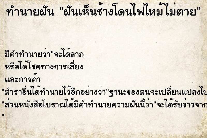 ทำนายฝัน ฝันเห็นช้างโดนไฟไหม้ไม่ตาย