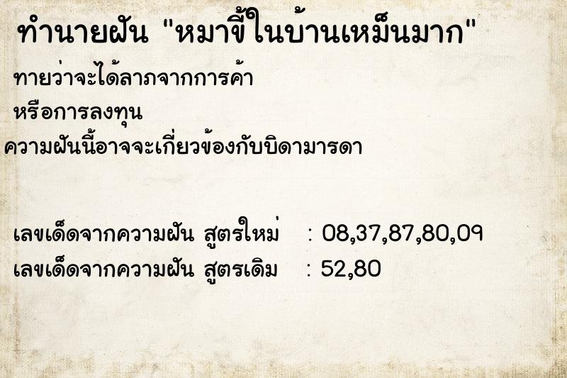 ทำนายฝัน หมาขี้ในบ้านเหม็นมาก