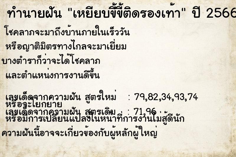 ทำนายฝัน เหยียบขี้ขี้ติดรองเท้า