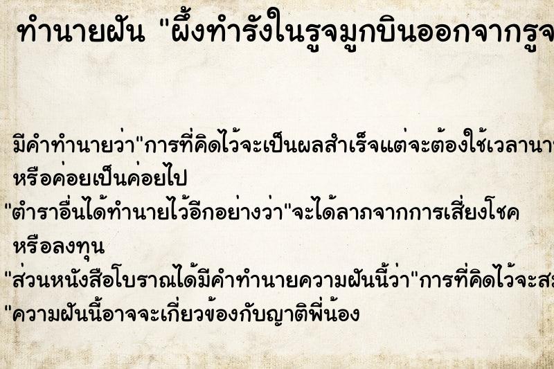 ทำนายฝัน ผึ้งทำรังในรูจมูกบินออกจากรูจมูกตัวเรา