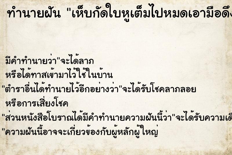 ทำนายฝัน เห็บกัดใบหูเต็มไปหมดเอามือดึงออกเลือดไหล