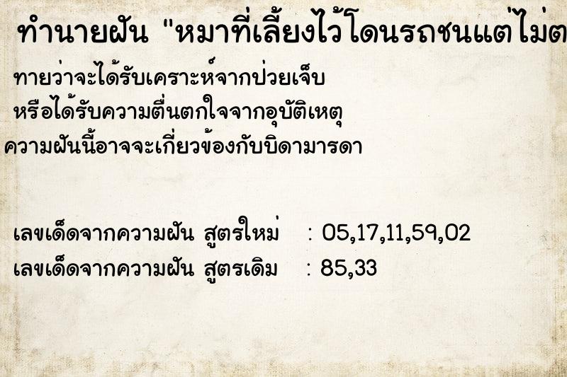 ทำนายฝัน หมาที่เลี้ยงไว้โดนรถชนแต่ไม่ตาย