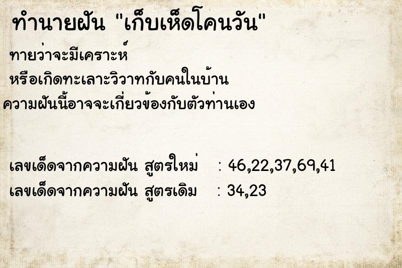 ทำนายฝัน เก็บเห็ดโคนวัน