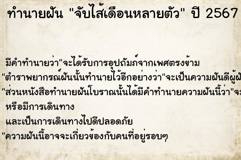 ทำนายฝัน จับไส้เดือนหลายตัว