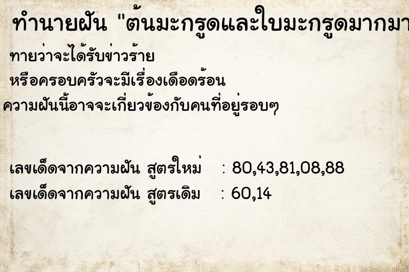 ทำนายฝัน ต้นมะกรูดและใบมะกรูดมากมาย  เลขนำโชค 