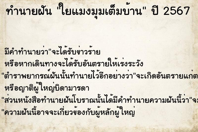 ทำนายฝัน ใยแมงมุมเต็มบ้าน  เลขนำโชค 