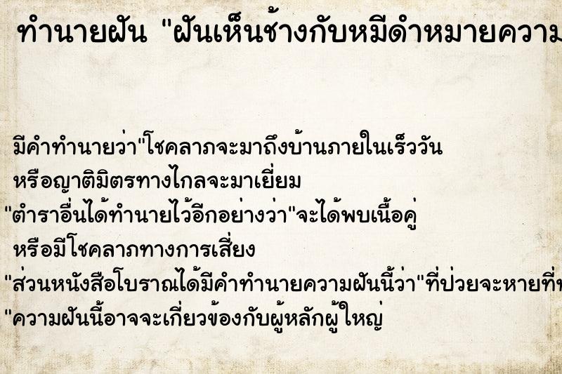 ทำนายฝัน ฝันเห็นช้างกับหมีดำหมายความว่า