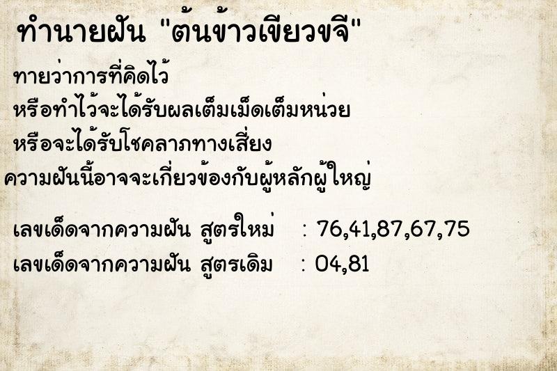 ทำนายฝัน ต้นข้าวเขียวขจี  เลขนำโชค 