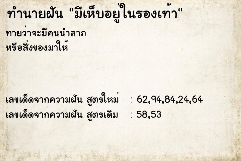 ทำนายฝัน มีเห็บอยู่ในรองเท้า