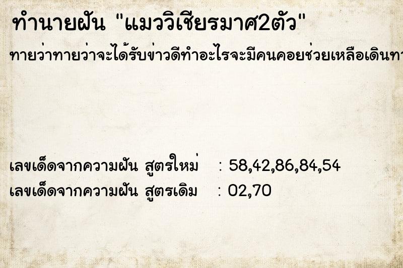 ทำนายฝัน แมววิเชียรมาศ2ตัว