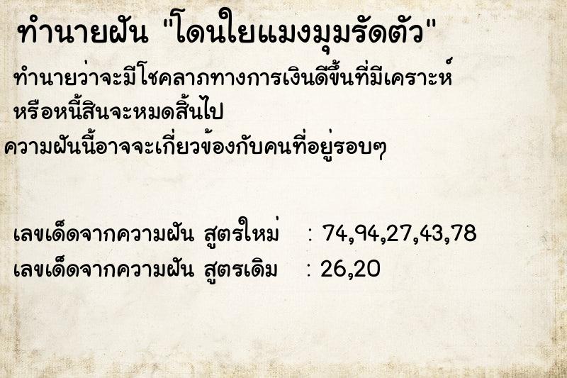 ทำนายฝัน โดนใยแมงมุมรัดตัว  เลขนำโชค 