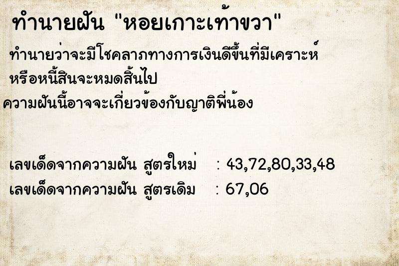 ทำนายฝัน หอยเกาะเท้าขวา