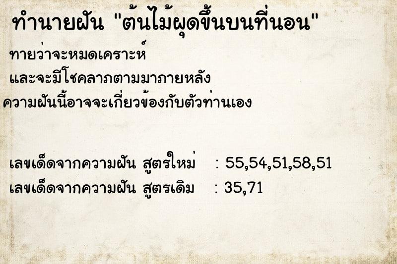 ทำนายฝัน ต้นไม้ผุดขึ้นบนที่นอน