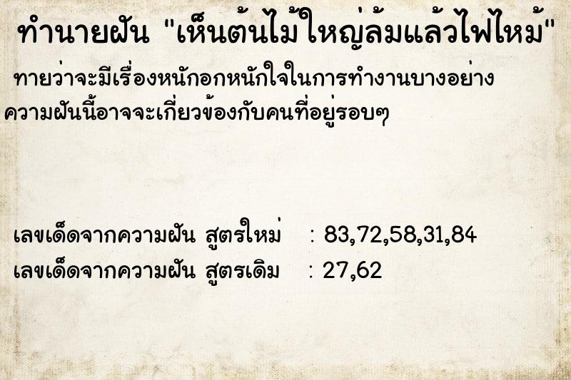 ทำนายฝัน เห็นต้นไม้ใหญ่ล้มแล้วไฟไหม้  เลขนำโชค 