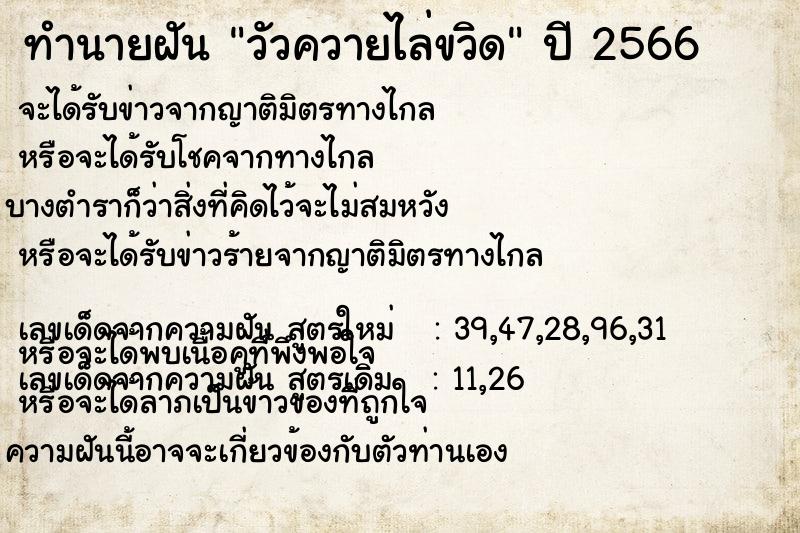 ทำนายฝัน วัวควายไล่ขวิด  เลขนำโชค 