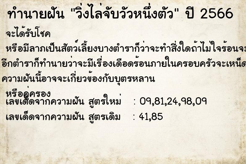 ทำนายฝัน #ทำนายฝัน #วิ่งไล่จับวัวหนึ่งตัว  เลขนำโชค 