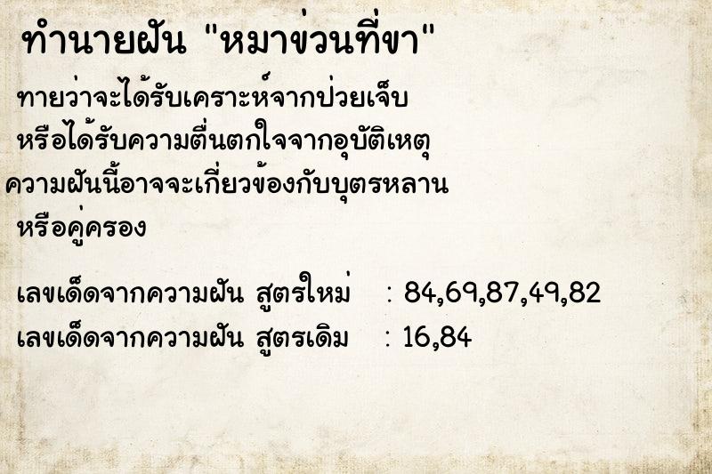 ทำนายฝัน หมาข่วนที่ขา