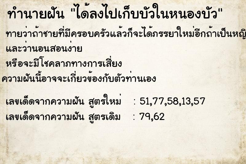 ทำนายฝัน ได้ลงไปเก็บบัวในหนองบัว