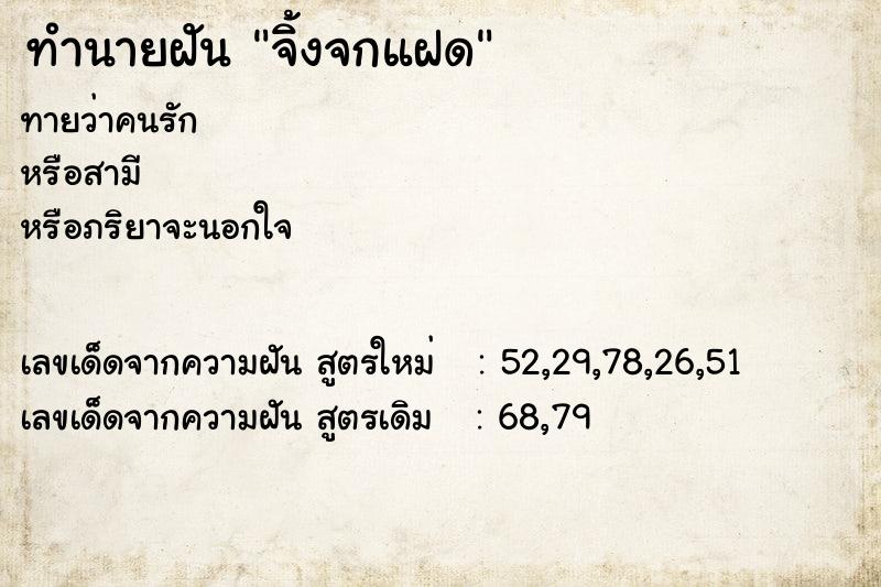 ทำนายฝัน จิ้งจกแฝด