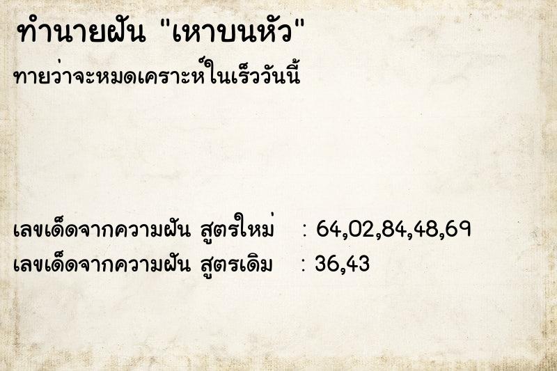 ทำนายฝัน เหาบนหัว