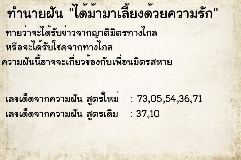 ทำนายฝัน ได้ม้ามาเลี้ยงด้วยความรัก  เลขนำโชค 