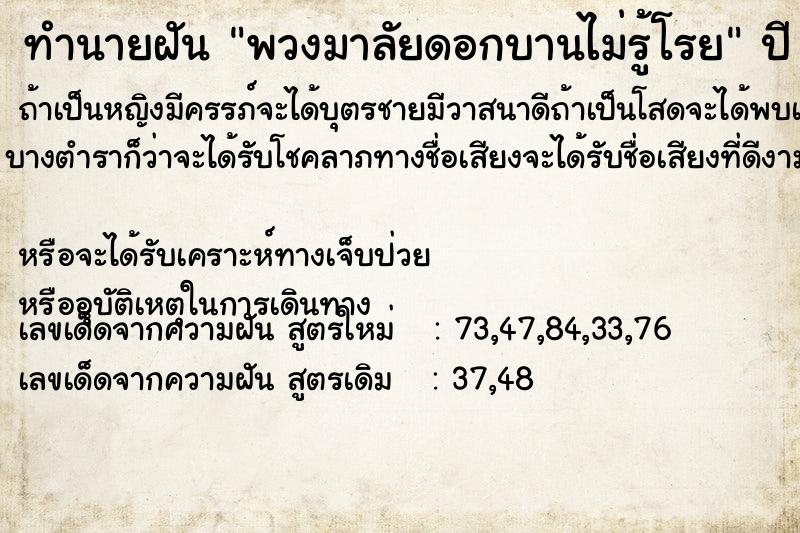 ทำนายฝัน พวงมาลัยดอกบานไม่รู้โรย  เลขนำโชค 