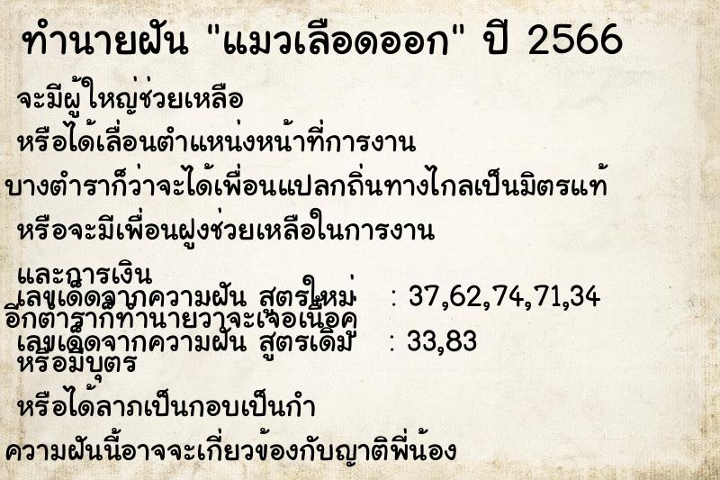 ทำนายฝัน แมวเลือดออก  เลขนำโชค 