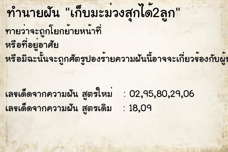 ทำนายฝัน เก็บมะม่วงสุกได้2ลูก