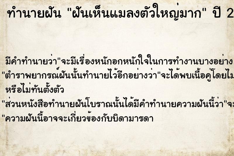 ทำนายฝัน ฝันเห็นแมลงตัวใหญ่มาก