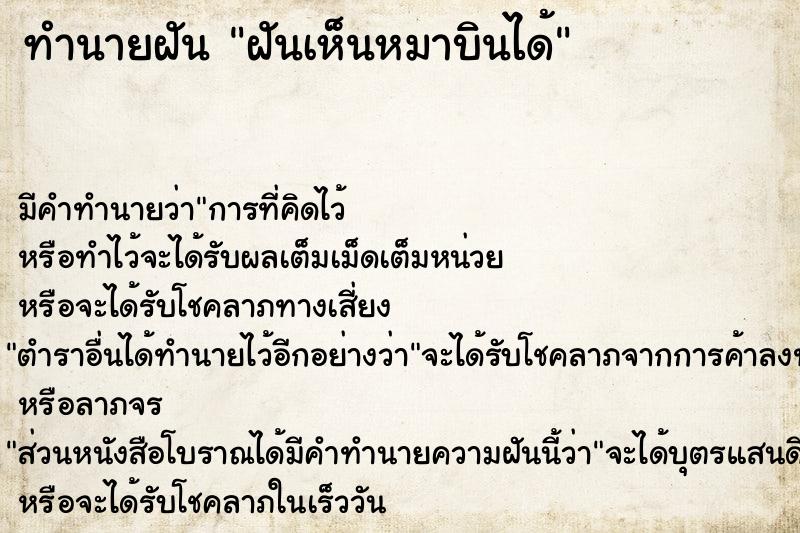 ทำนายฝัน ฝันเห็นหมาบินได้