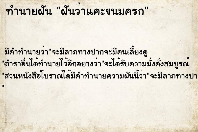 ทำนายฝัน ฝันว่าแคะขนมครก  เลขนำโชค 